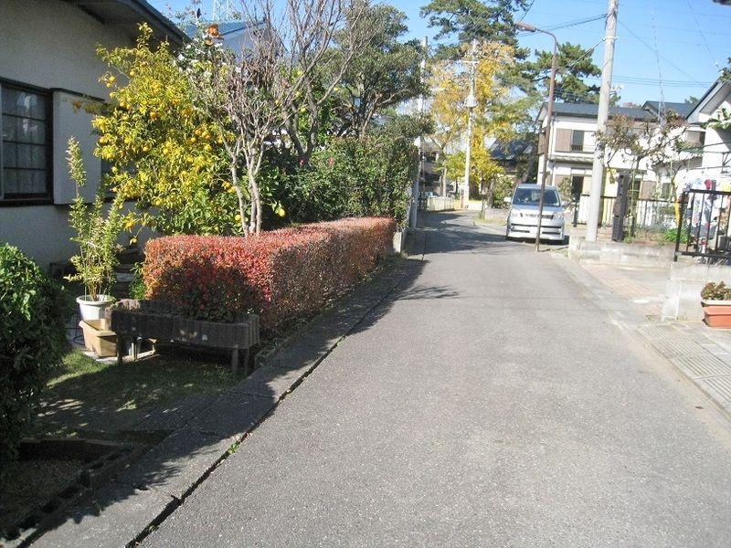 Local photos, including front road