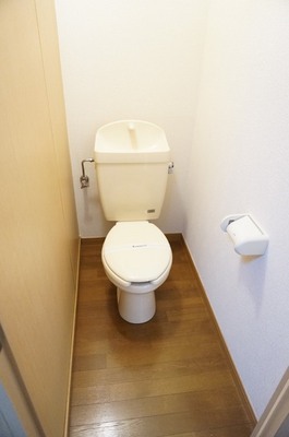 Toilet. It is hand-wash with a toilet