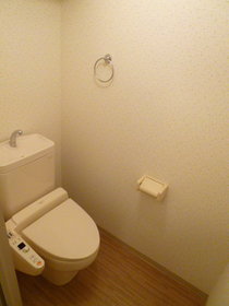 Toilet. Cleaning function with toilet seat