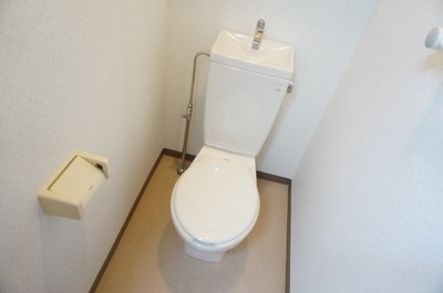 Toilet. It is hand washing with toilet