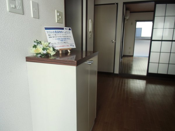 Entrance. There is also a cupboard.