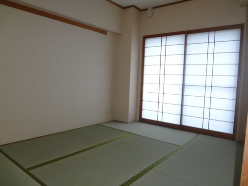 Other room space. Japanese style room