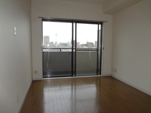 Other room space. Western style room