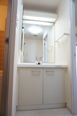 Washroom. Wash basin