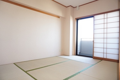 Living and room. Japanese style room