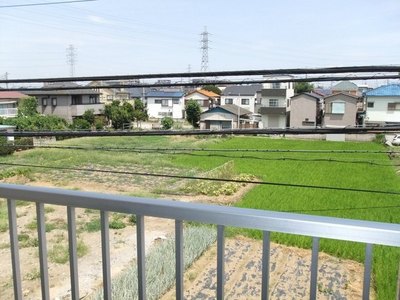 View. Before the eyes is a field + rice fields green is pleasant
