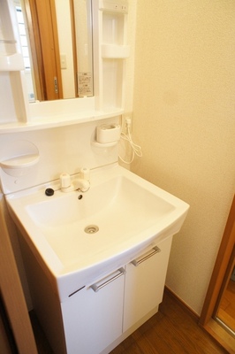 Washroom. Storage rack is useful Dresser