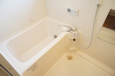 Bath. Simple bathroom