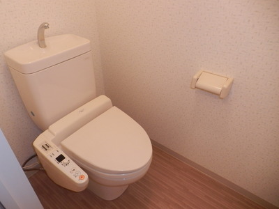 Toilet. Bidet with toilet