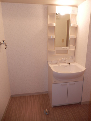 Washroom. Convenient independent wash basin with the cleansing and toothpaste