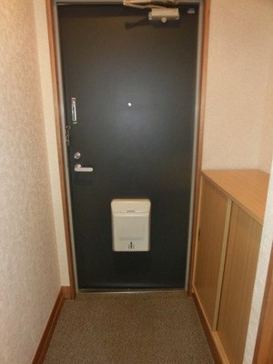 Entrance. Entrance of calm hue is dirt is less noticeable