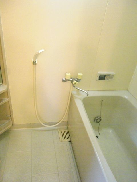 Bath. Beautiful bathtub of Reheating. 