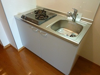 Kitchen. 2 lot gas stoves with