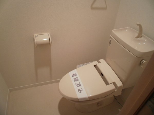 Toilet. Mirror is a photo of the same type.
