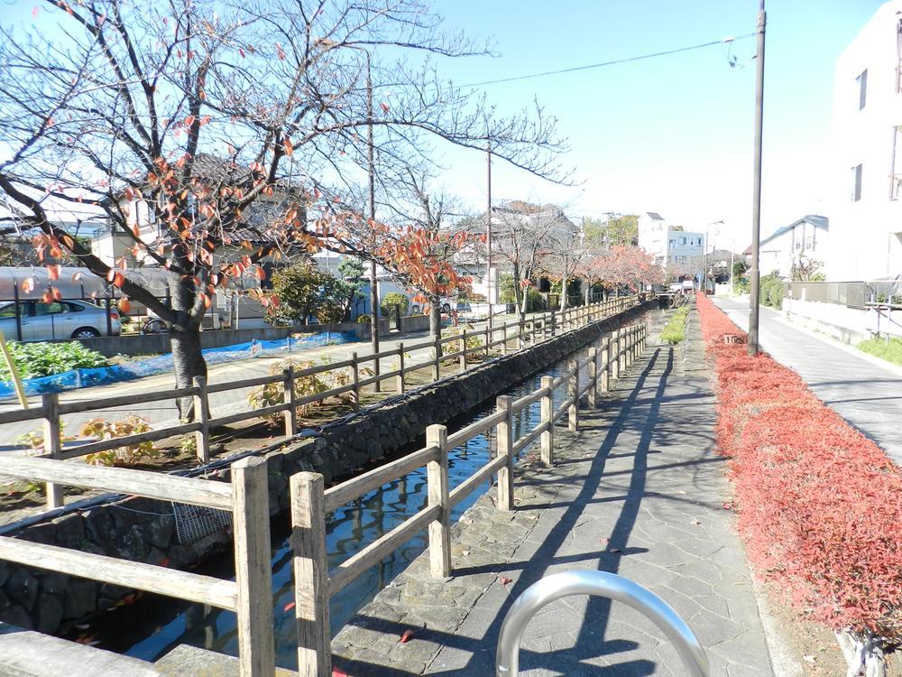 Other Environmental Photo. Neighboring landscape is. It also becomes a quiet environment walking course! 