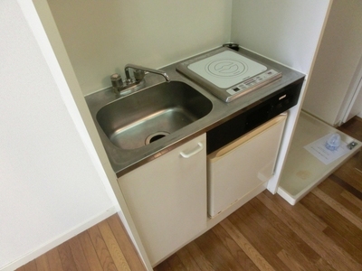 Kitchen. IH cooking heater and mini-kitchen with refrigerator