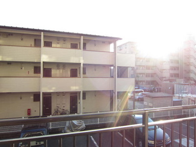 View. A view from the veranda