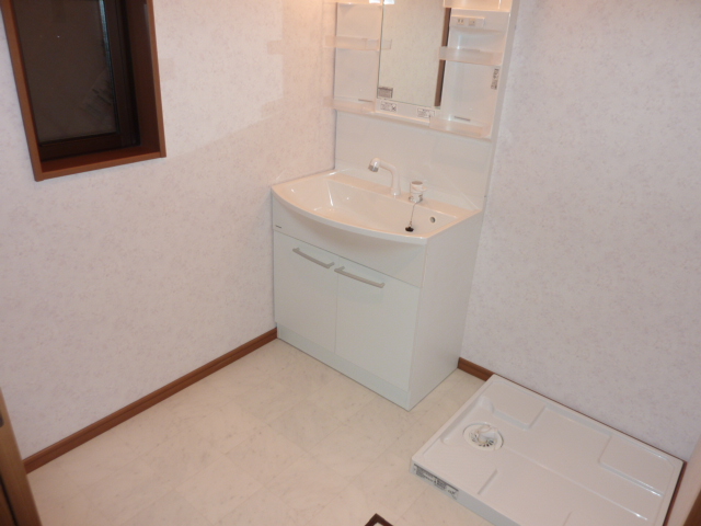 Washroom. Independent wash basin (shower dresser)