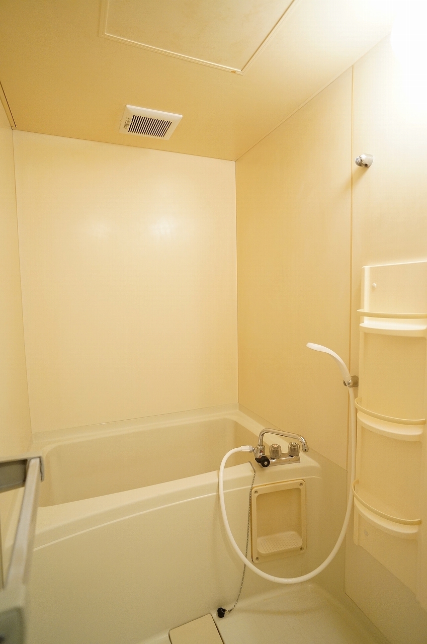 Bath. Shelved unit bus