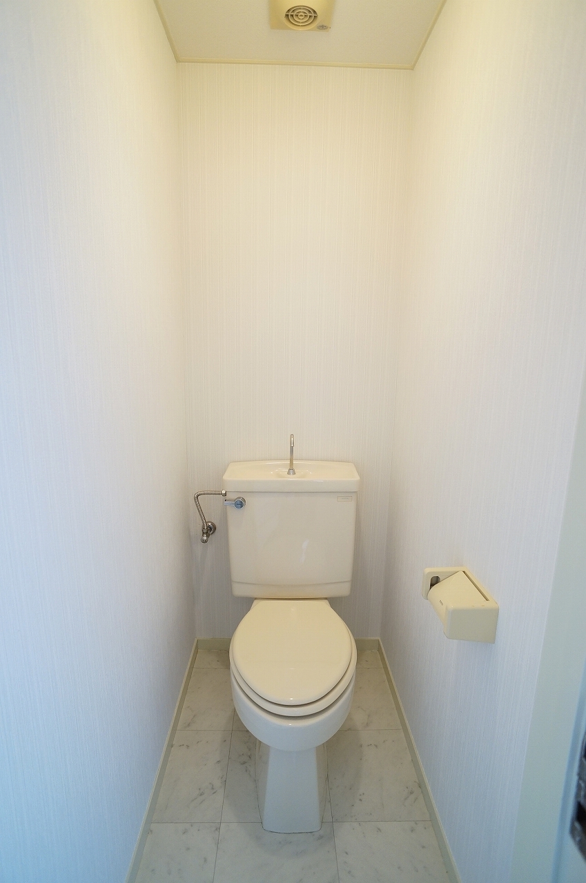 Toilet. Separated toilet