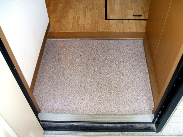 Entrance. Entrance with a shoe box.