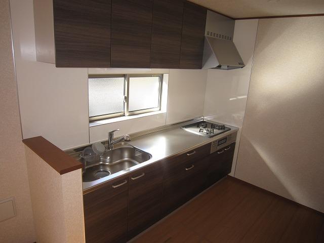 Kitchen. Indoor (11 May 2013) Shooting