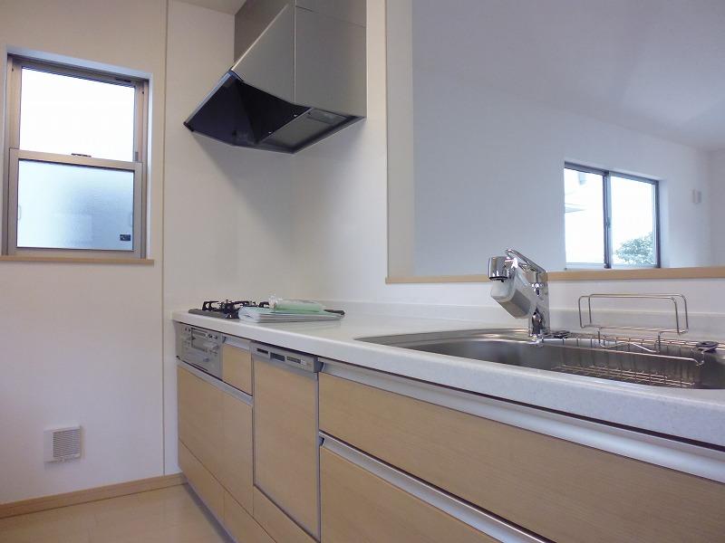 Kitchen. Indoor (11 May 2013) Shooting