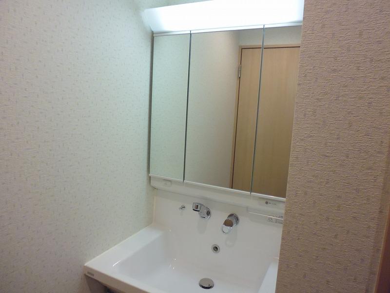 Wash basin, toilet. Indoor (11 May 2013) Shooting