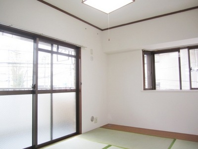 Living and room. Two-sided lighting Japanese-style room