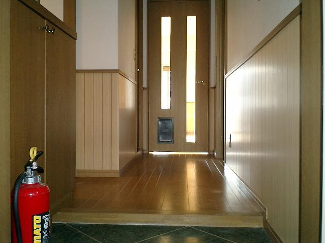 Other. Also it comes with a pet for doorway