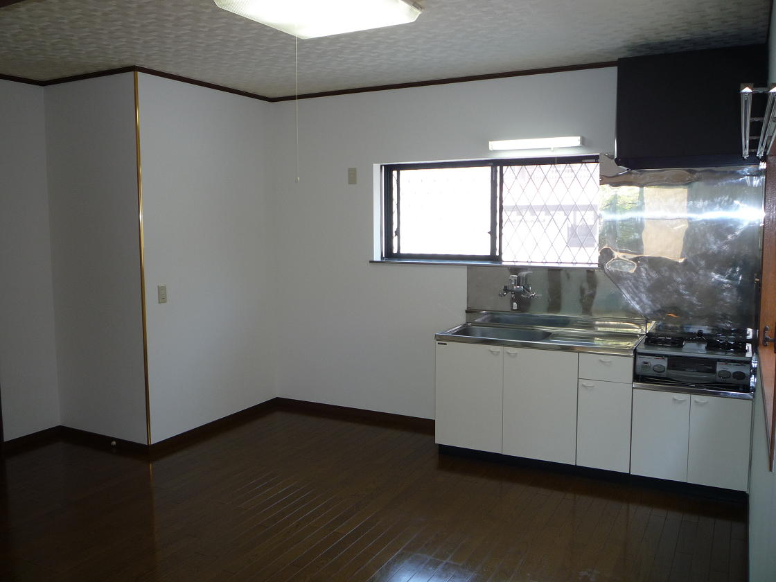 Kitchen. Wide 9.2 Pledge DK (with with gas stove)