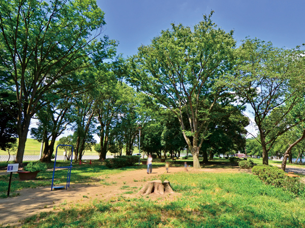 Surrounding environment. Todakoen (a 15-minute walk / About 1180m)