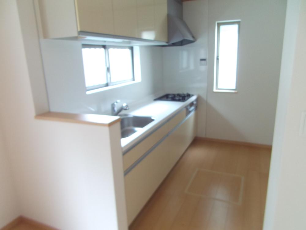 Kitchen. Indoor (11 May 2013) Shooting