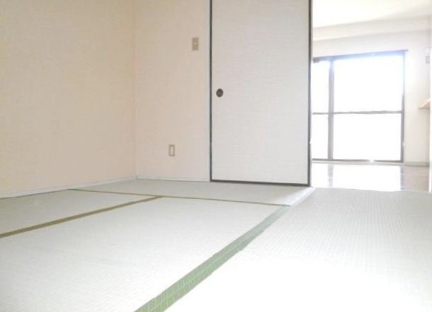 Living and room. Two-sided lighting of the Japanese-style room. 