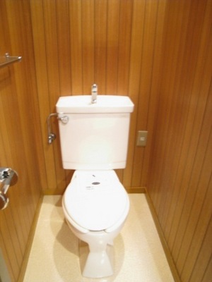 Toilet. Washlet is possible installation