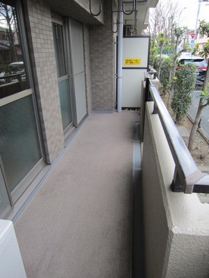 Other. It is a south-facing balcony