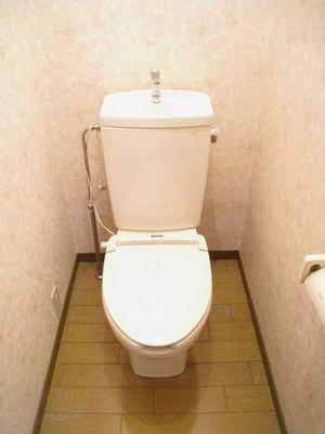 Toilet. Heating toilet seat