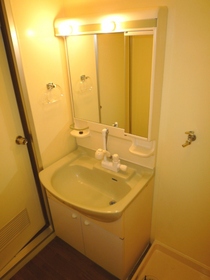 Washroom. Washstand of shampoo dresser with