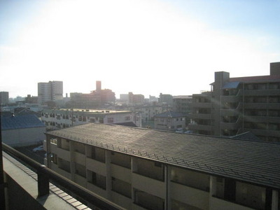 View. In south-facing sunny pat