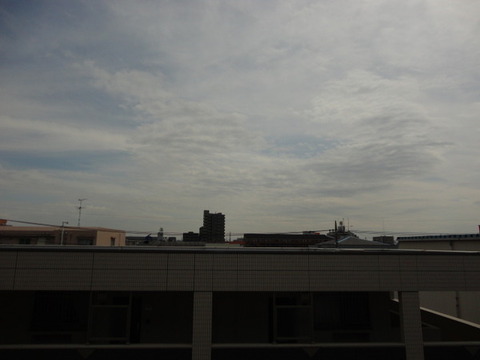 View. View from the balcony