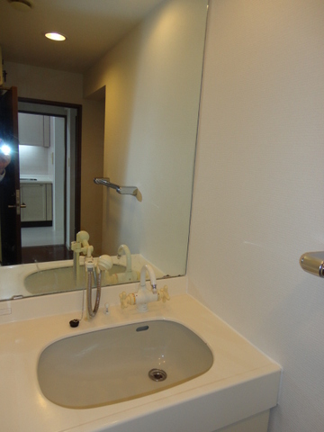 Washroom. Bathroom vanity