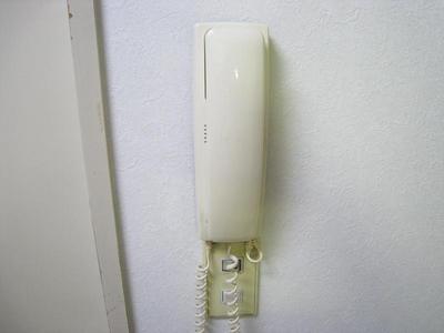 Other Equipment. You can see the visitors in the intercom