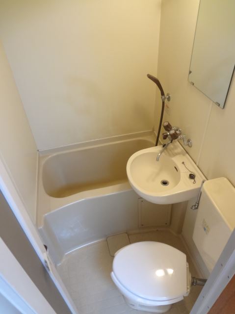 Bath. Cleaning a breeze in the unit bus