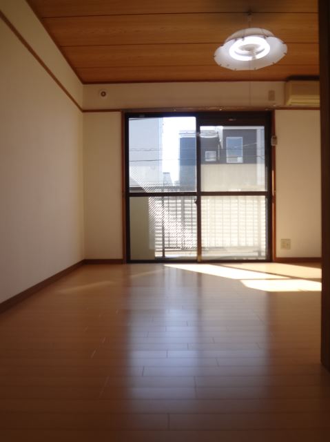 Living and room. Sunny room