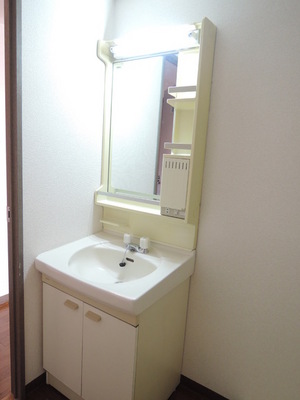 Washroom. Let's grooming check with wash basin