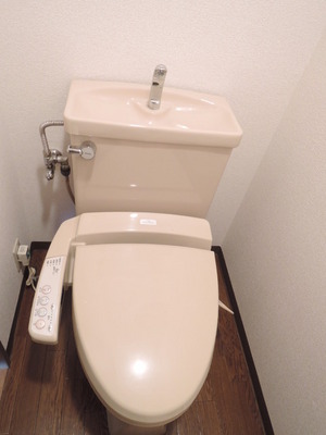 Toilet. It comes with a bidet