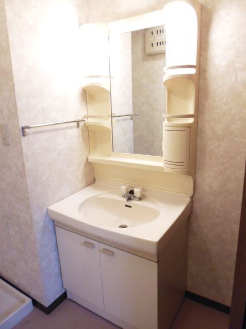 Washroom. I'm happy with a large washbasin