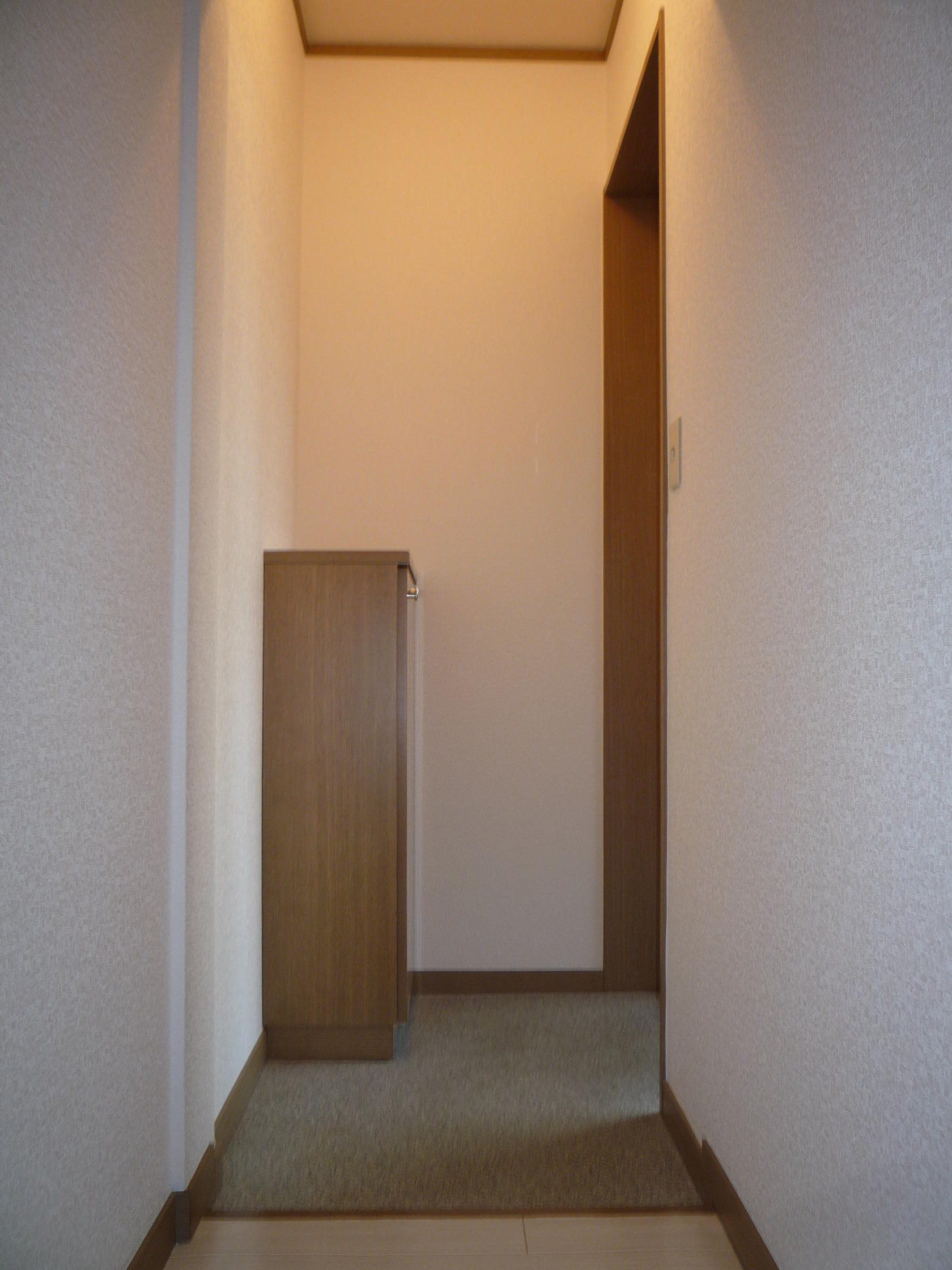 Entrance. Entrance (with shoes case)