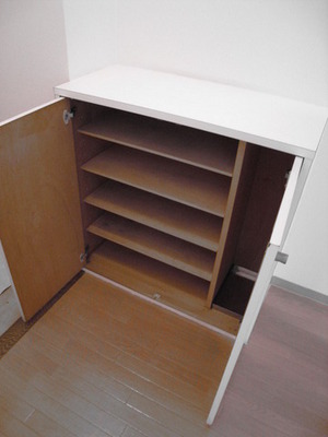 Entrance. You will enter the shoes are a lot of