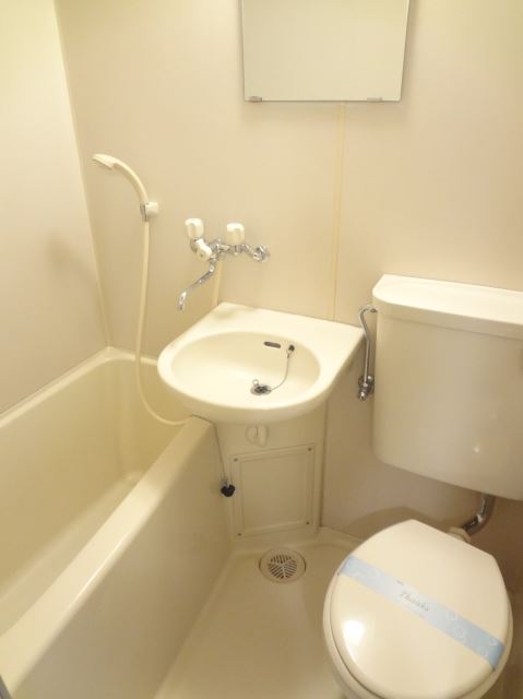 Bath. Cleaning Easy unit bus